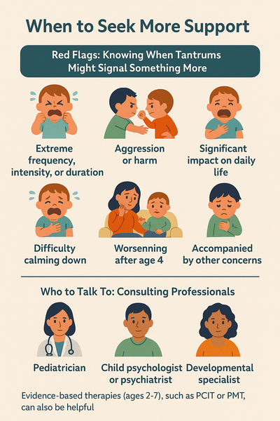 Infographic titled "When to Seek More Support" outlines red flags in toddler tantrums, such as extreme frequency, aggression, or difficulty calming down, and highlights when to consult pediatricians or child psychologists.